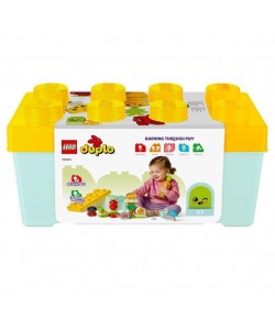 Lego Duplo Giardino biologico 10984