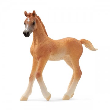 Puledro arabo Schleich 13984