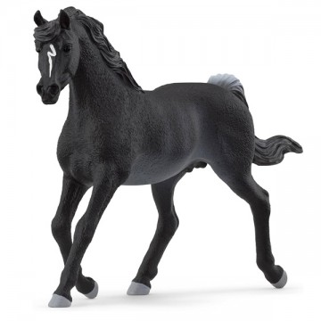 Stallone arabo Schleich 13981