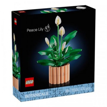 LEGO Botanicals Spatifillo 11504