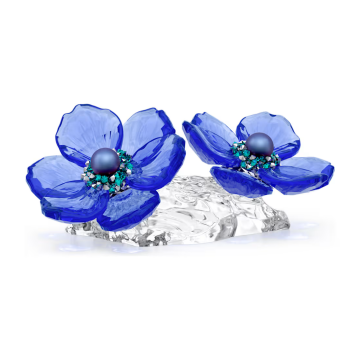 Anemone Coronaria Swarovski Idyllia SCS 2026 5717850
