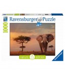 Puzzle Ravensburger Elefante del Masai Mara 1000 pz 15159